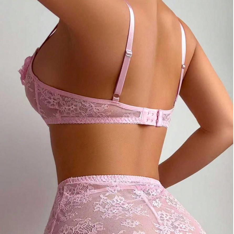 Seksowna bielizna, przezroczys – Sheer Mesh Bra recenzja i cena
